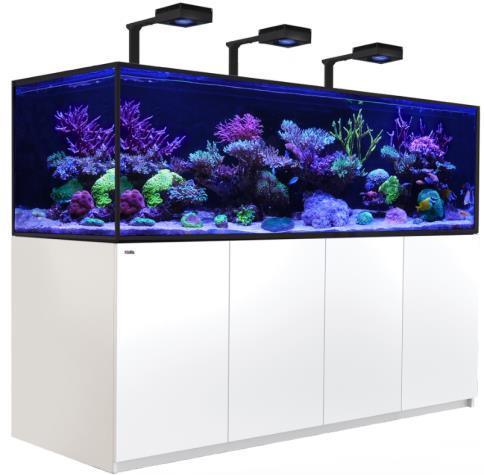 Saltwater Aquarium For Sale Online preview