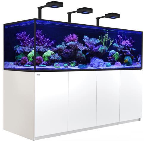 Standard Aquariums - Ocean Reefs Marine Aquariums
