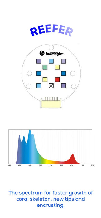 Illumagic Saltwater Pixel LED Light