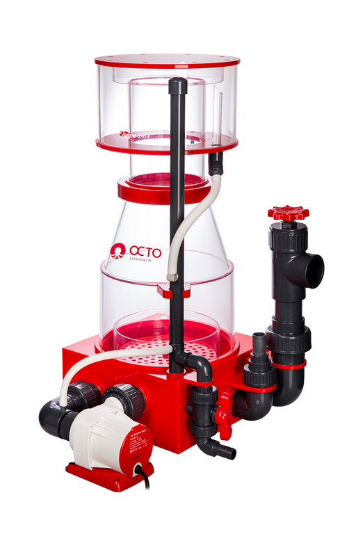 REEF OCTO Regal 250-E