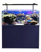 Aqua One Mini Reef 215 Marine Aquarium - Ocean Reefs Marine Aquariums
