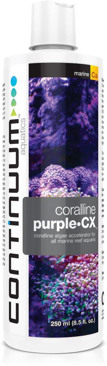 Continuum Coralline Purple CX - Ocean Reefs Marine Aquariums