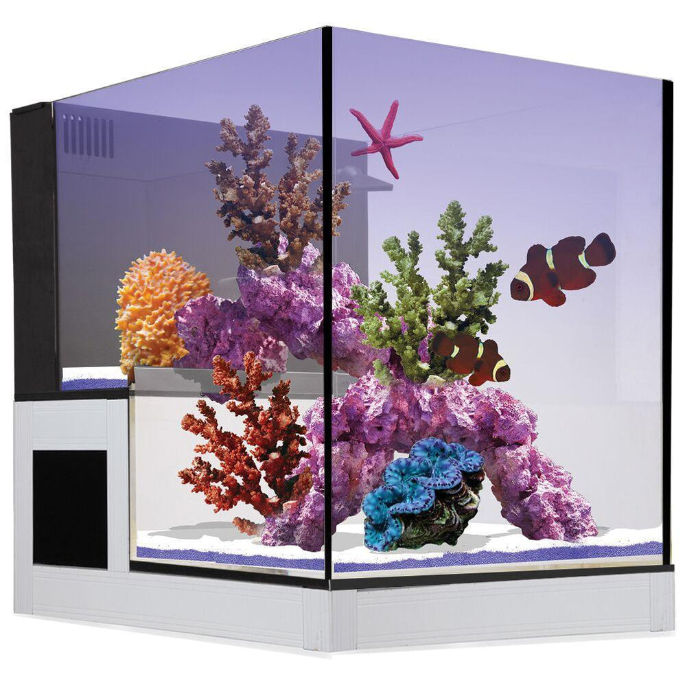 View of Saltwater Aquariums For Sale Perth | Ocean Reefs Marine Aquariums