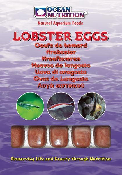 Ocean Nutrition Frozen Lobster Eggs - Ocean Reefs Marine Aquariums