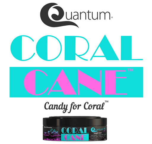 Quantum Coral Cane - Ocean Reefs Marine Aquariums