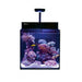 Red Sea Max NANO Cube - Ocean Reefs Marine Aquariums