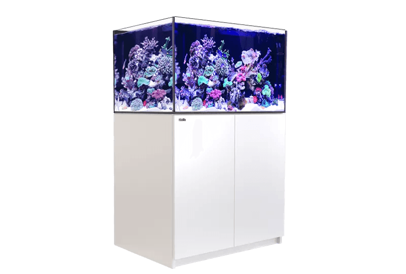 Red Sea Reefer 300 G2+ - Ocean Reefs Marine Aquariums